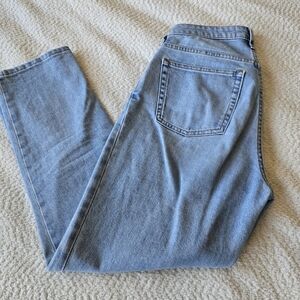 Everlane The Curvy Cheeky Jean Size 26 Ankle